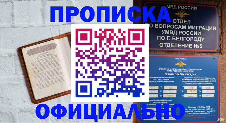 временная регистрация для школы в Тимашёвске